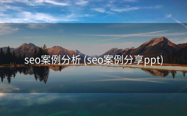 seo案例分析 (seo案例分享ppt)
