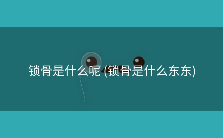 锁骨是什么呢 (锁骨是什么东东)