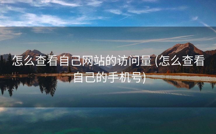 怎么查看自己网站的访问量 (怎么查看自己的手机号)