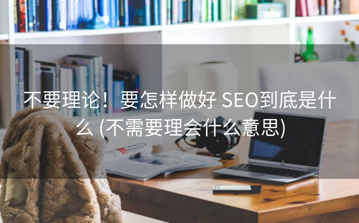 不要理论！要怎样做好 SEO到底是什么 (不需要理会什么意思)