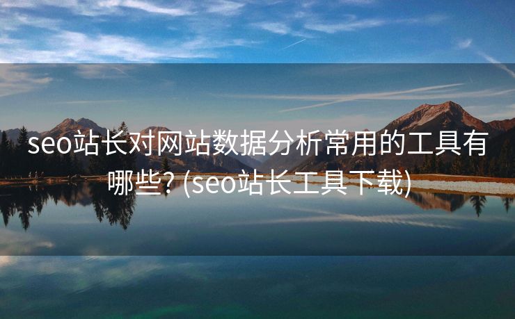 seo站长对网站数据分析常用的工具有哪些? (seo站长工具下载)