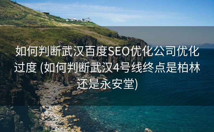 如何判断武汉百度SEO优化公司优化过度 (如何判断武汉4号线终点是柏林还是永安堂)