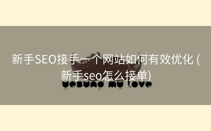 新手SEO接手一个网站如何有效优化 (新手seo怎么接单)