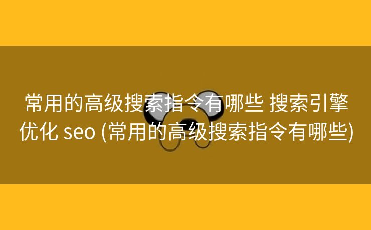 常用的高级搜索指令有哪些 搜索引擎优化 seo (常用的高级搜索指令有哪些)