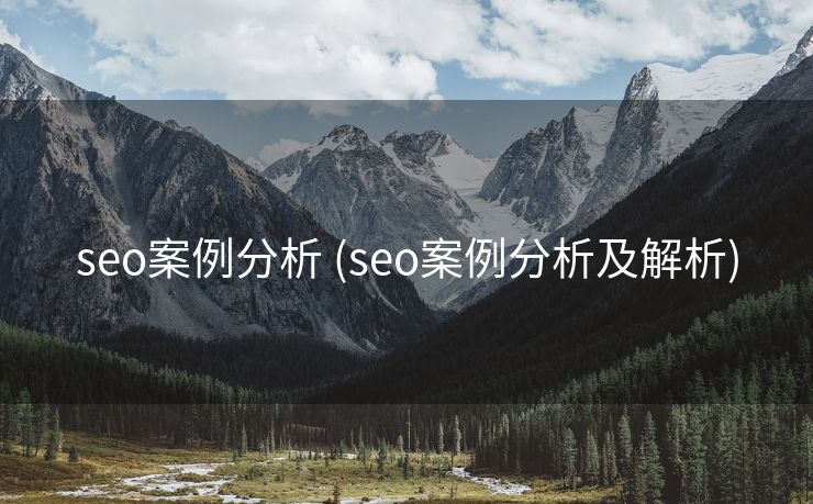seo案例分析 (seo案例分析及解析)