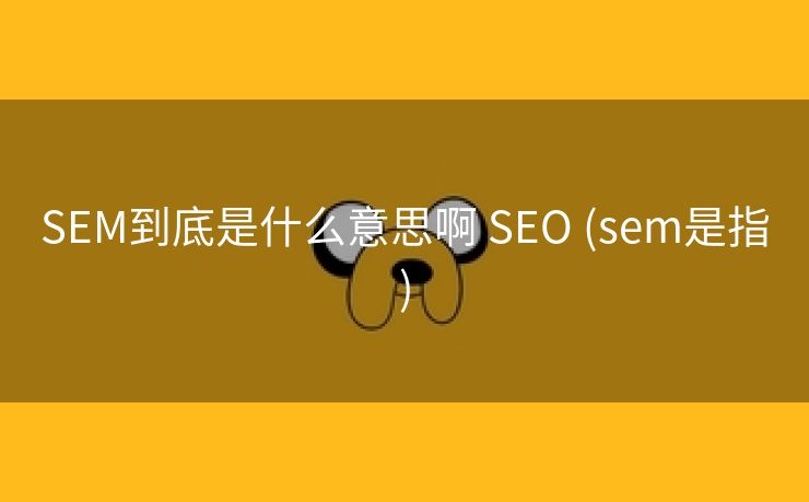 SEM到底是什么意思啊 SEO (sem是指)