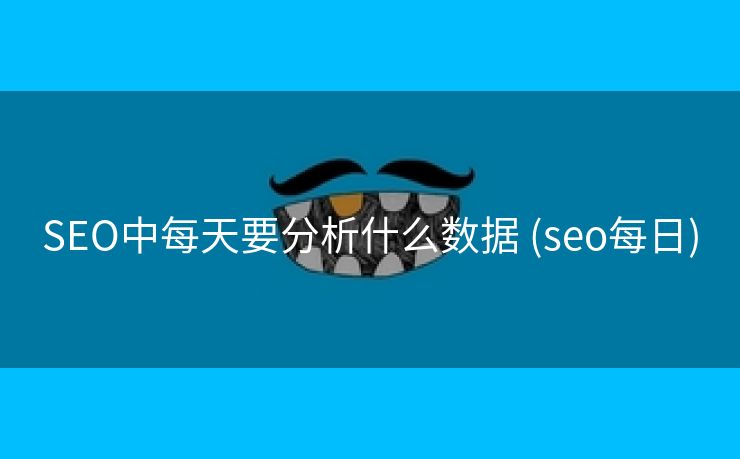 SEO中每天要分析什么数据 (seo每日)