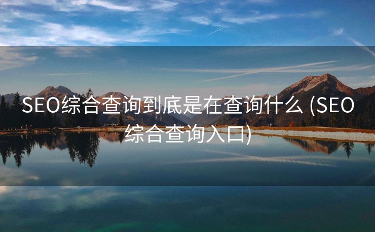 SEO综合查询到底是在查询什么 (SEO综合查询入口)
