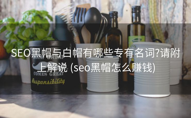 SEO黑帽与白帽有哪些专有名词?请附上解说 (seo黑帽怎么赚钱)