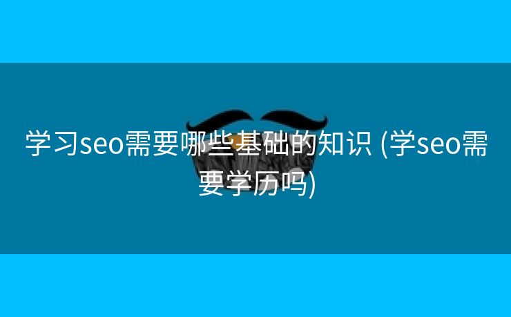 学习seo需要哪些基础的知识 (学seo需要学历吗)