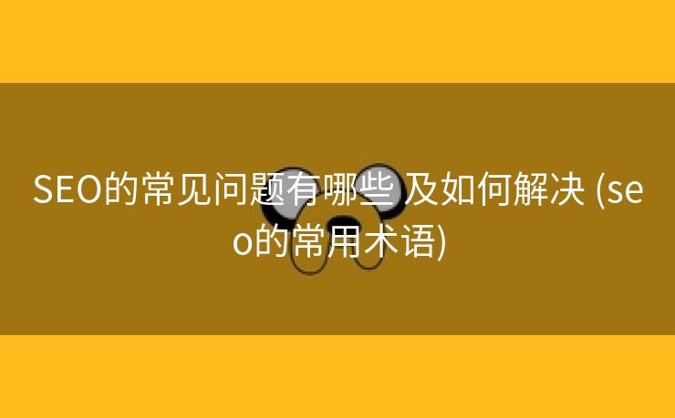 SEO的常见问题有哪些 及如何解决 (seo的常用术语)