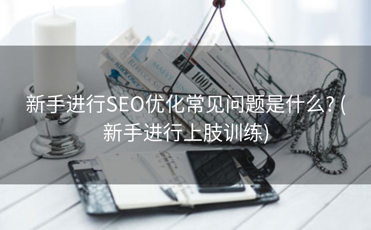 新手进行SEO优化常见问题是什么? (新手进行上肢训练)