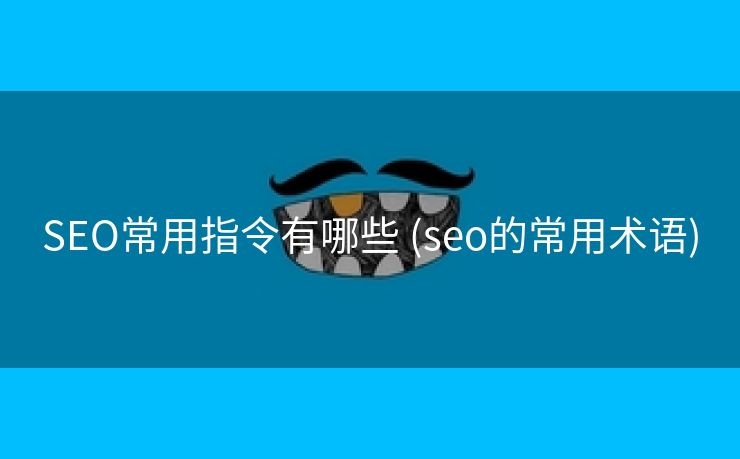 SEO常用指令有哪些 (seo的常用术语)