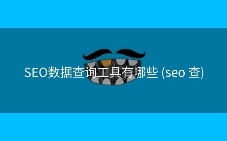 SEO数据查询工具有哪些 (seo 查)
