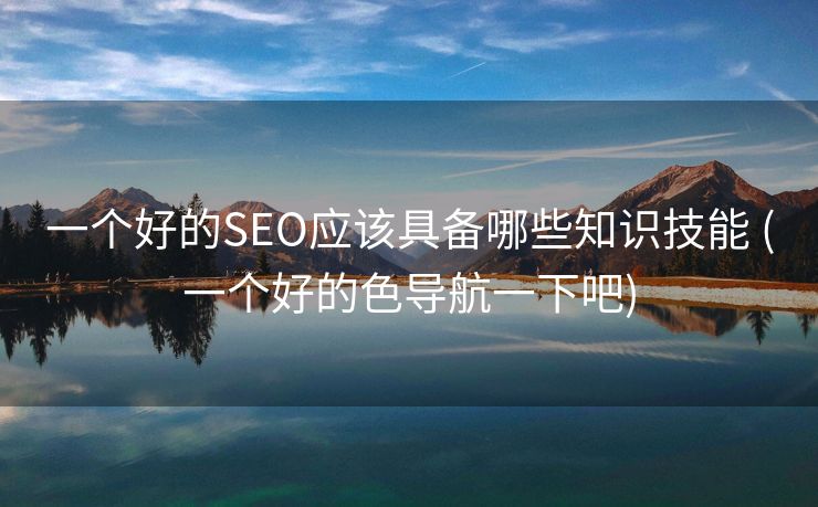 一个好的SEO应该具备哪些知识技能 (一个好的色导航一下吧)