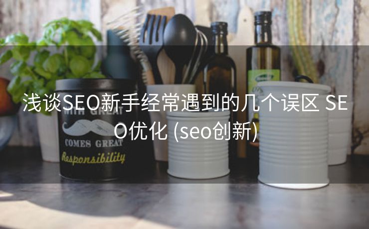 浅谈SEO新手经常遇到的几个误区 SEO优化 (seo创新)
