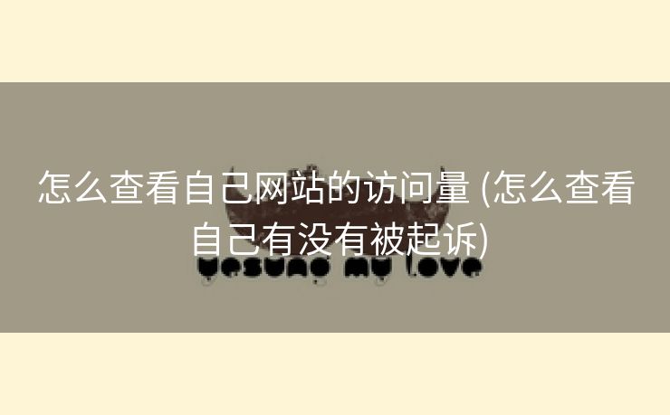 怎么查看自己网站的访问量 (怎么查看自己有没有被起诉)