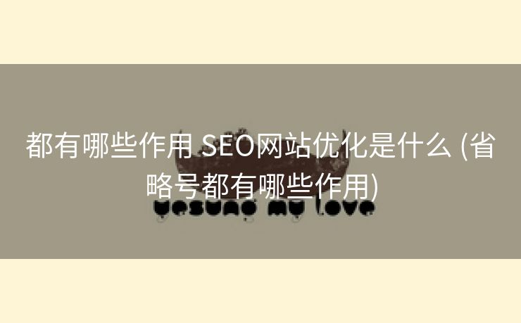 都有哪些作用 SEO网站优化是什么 (省略号都有哪些作用)