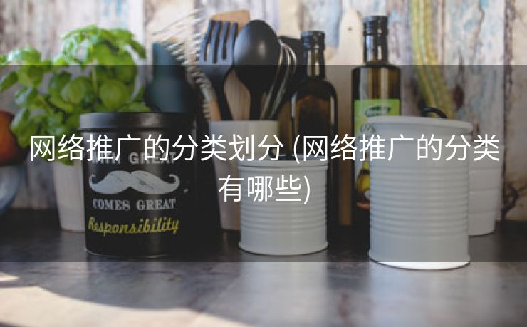 网络推广的分类划分 (网络推广的分类有哪些)