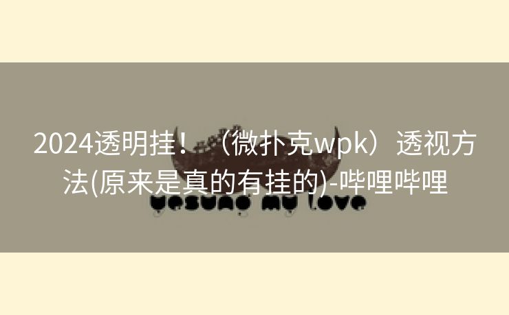 2024透明挂！（微扑克wpk）透视方法(原来是真的有挂的)-哔哩哔哩
