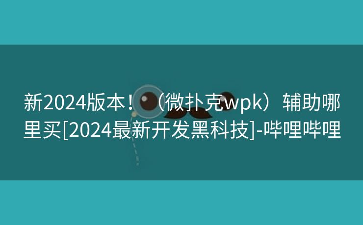新2024版本！（微扑克wpk）辅助哪里买[2024最新开发黑科技]-哔哩哔哩