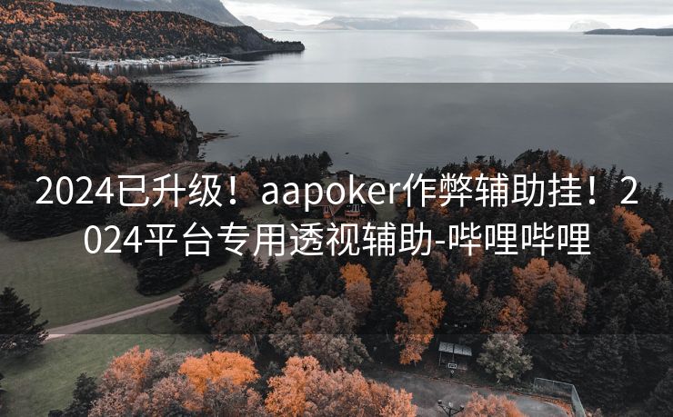 2024已升级！aapoker作弊辅助挂！2024平台专用透视辅助-哔哩哔哩