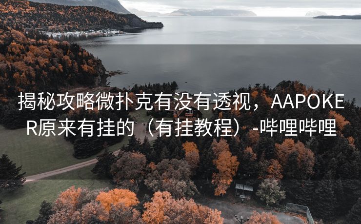 揭秘攻略微扑克有没有透视，AAPOKER原来有挂的（有挂教程）-哔哩哔哩