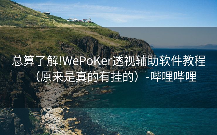 总算了解!WePoKer透视辅助软件教程（原来是真的有挂的）-哔哩哔哩