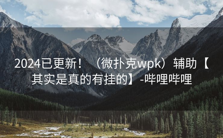 2024已更新！（微扑克wpk）辅助【其实是真的有挂的】-哔哩哔哩