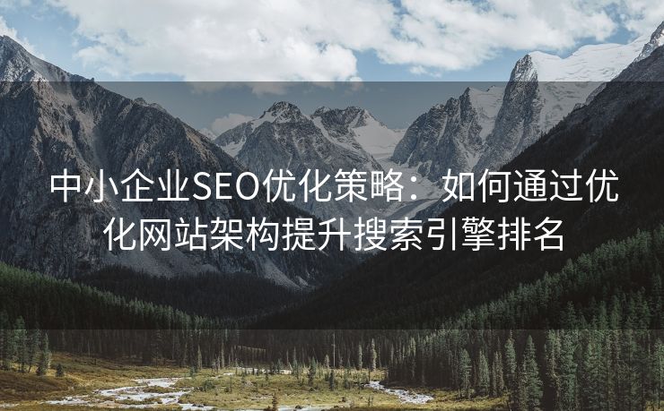 中小企业SEO优化策略：如何通过优化网站架构提升搜索引擎排名