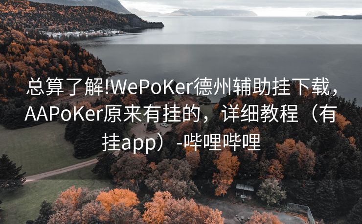 总算了解!WePoKer德州辅助挂下载，AAPoKer原来有挂的，详细教程（有挂app）-哔哩哔哩