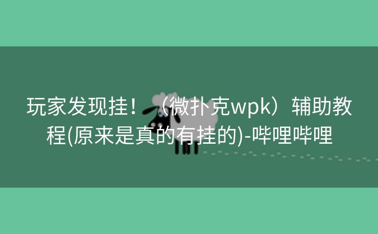 玩家发现挂！（微扑克wpk）辅助教程(原来是真的有挂的)-哔哩哔哩