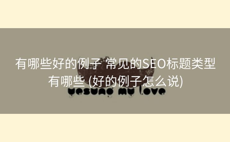 有哪些好的例子 常见的SEO标题类型有哪些 (好的例子怎么说)