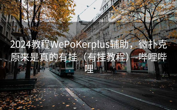 2024教程WePoKerplus辅助，微扑克原来是真的有挂（有挂教程）-哔哩哔哩