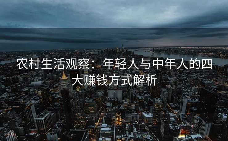 农村生活观察：年轻人与中年人的四大赚钱方式解析