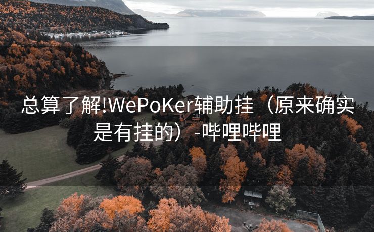 总算了解!WePoKer辅助挂（原来确实是有挂的）-哔哩哔哩