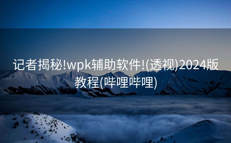 记者揭秘!wpk辅助软件!(透视)2024版教程(哔哩哔哩)