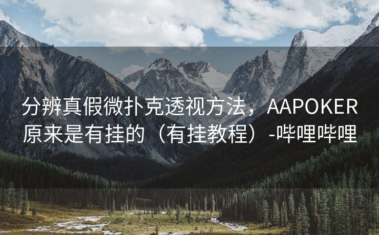 分辨真假微扑克透视方法，AAPOKER原来是有挂的（有挂教程）-哔哩哔哩