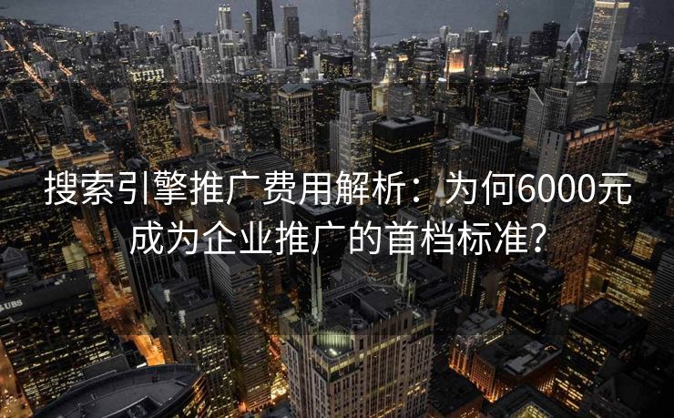 搜索引擎推广费用解析：为何6000元成为企业推广的首档标准？