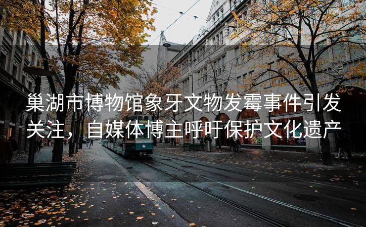 巢湖市博物馆象牙文物发霉事件引发关注，自媒体博主呼吁保护文化遗产