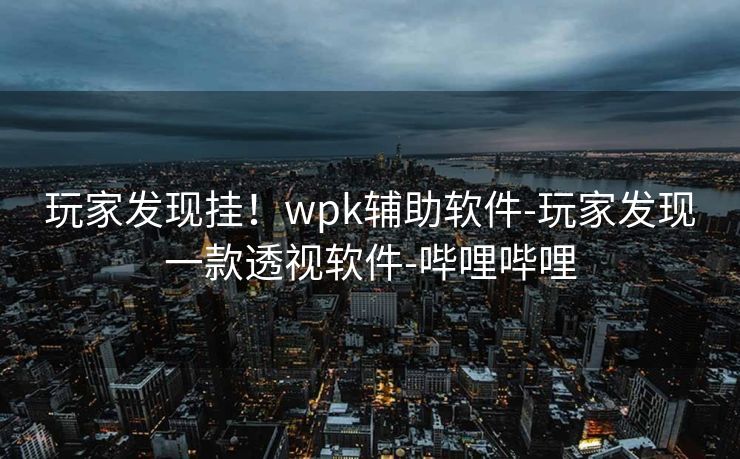 玩家发现挂!wpk辅助软件-玩家发现一款透视软件-哔哩哔哩 玩家发现挂!wpk辅助软件-玩家发现一款透视软件-哔哩哔哩