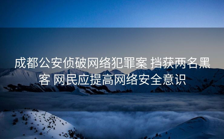 成都公安侦破网络犯罪案 挡获两名黑客 网民应提高网络安全意识