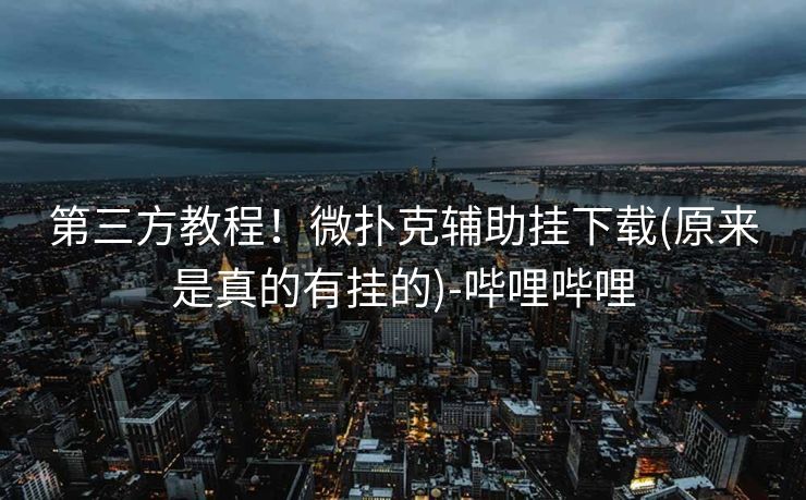 第三方教程！微扑克辅助挂下载(原来是真的有挂的)-哔哩哔哩