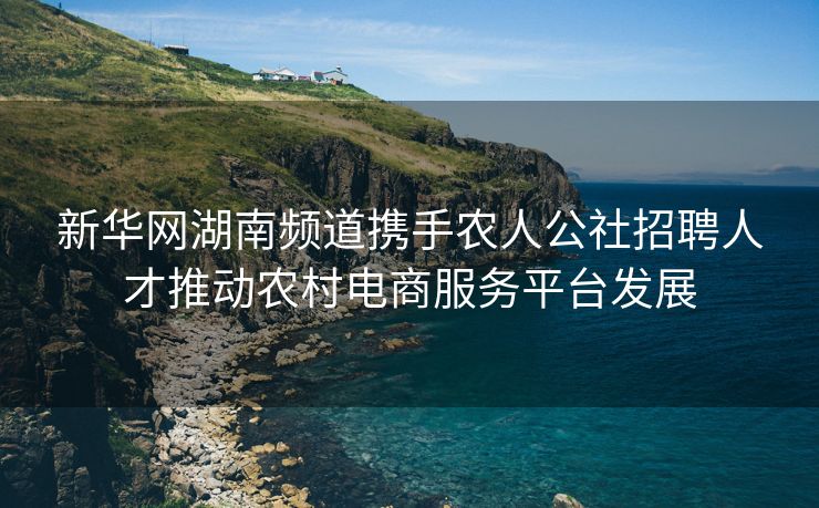 新华网湖南频道携手农人公社招聘人才推动农村电商服务平台发展