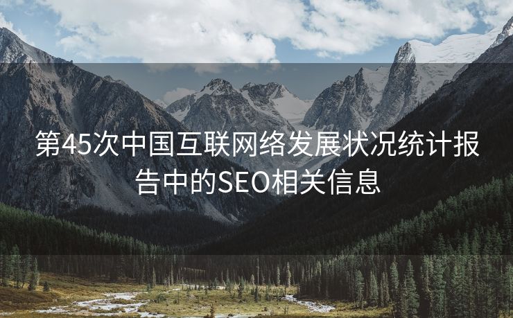 第45次中国互联网络发展状况统计报告中的SEO相关信息