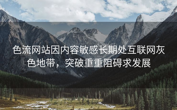 色流网站因内容敏感长期处互联网灰色地带，突破重重阻碍求发展