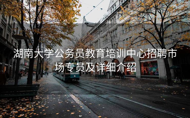 湖南大学公务员教育培训中心招聘市场专员及详细介绍