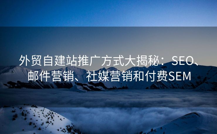 外贸自建站推广方式大揭秘：SEO、邮件营销、社媒营销和付费SEM