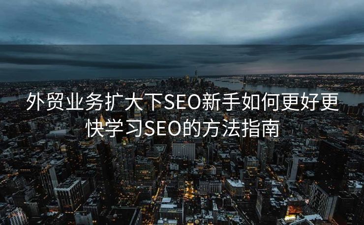 外贸业务扩大下SEO新手如何更好更快学习SEO的方法指南