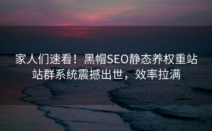 家人们速看！黑帽SEO静态养权重站站群系统震撼出世，效率拉满